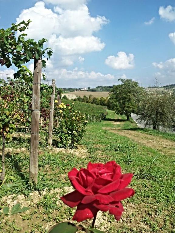 B&B Vigneto Pardom Montiglio Экстерьер фото