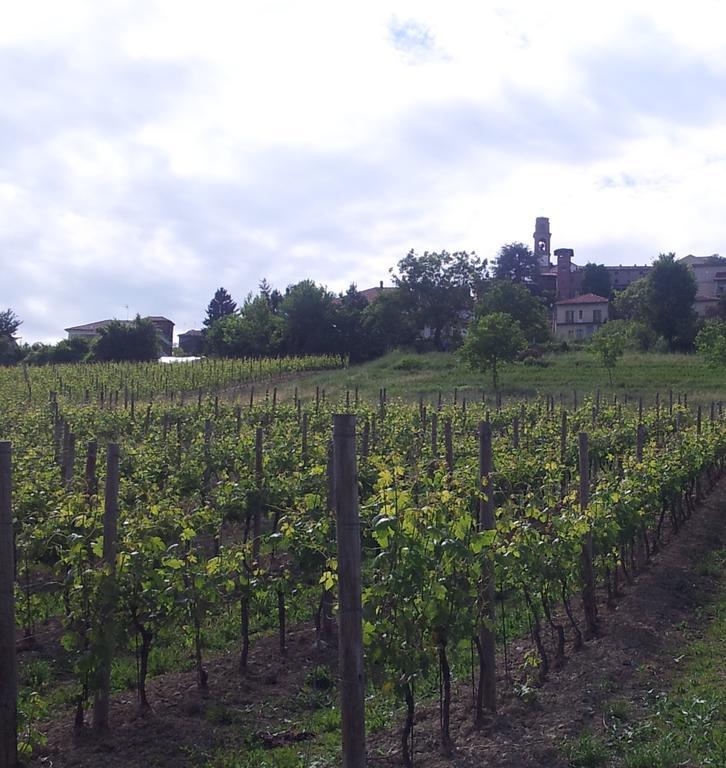 B&B Vigneto Pardom Montiglio Экстерьер фото