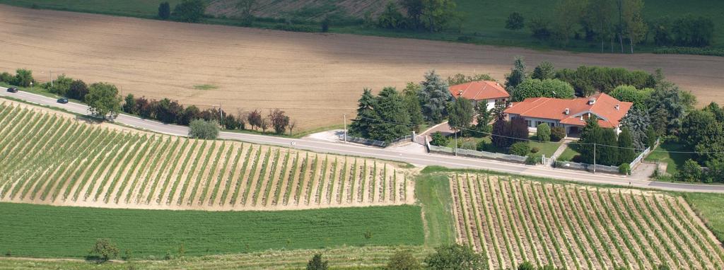 B&B Vigneto Pardom Montiglio Экстерьер фото